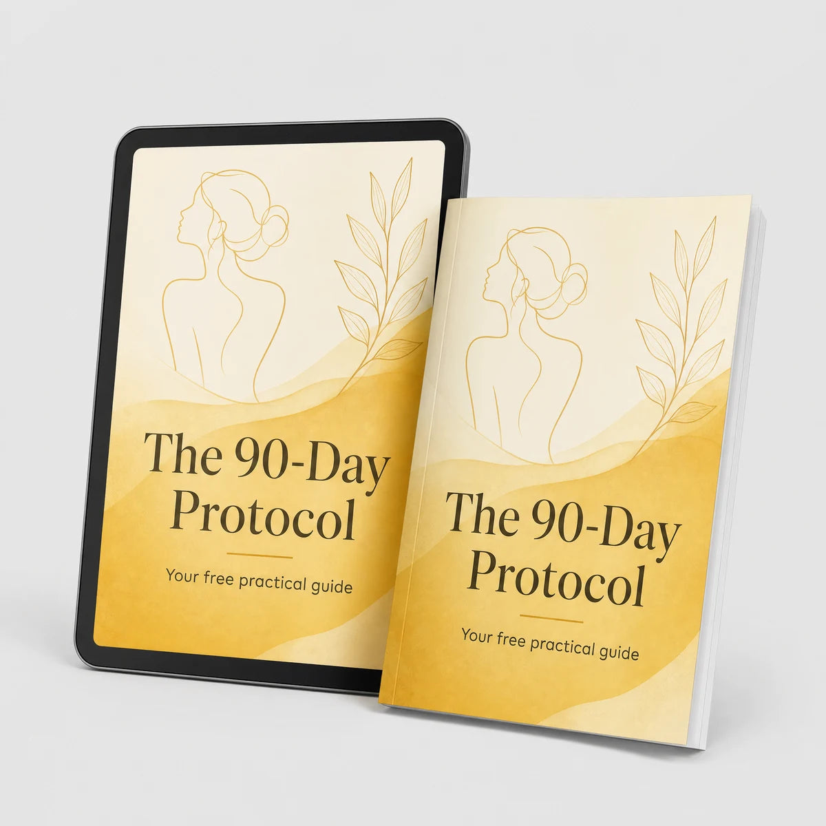 Guide: The 90-Day Protocol